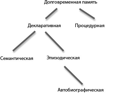 Мозг на пенсии. Научный взгляд на преклонный возраст