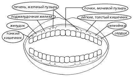 Защити свое тело. Оптимальные методы очищения, укрепления и оздоровления