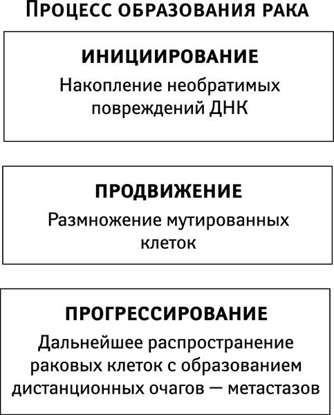 Бойкот раку. Защитите себя и своих близких! Советы врача-онколога из Великобритании