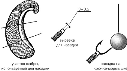 Рыбалка. На мормышку без насадки