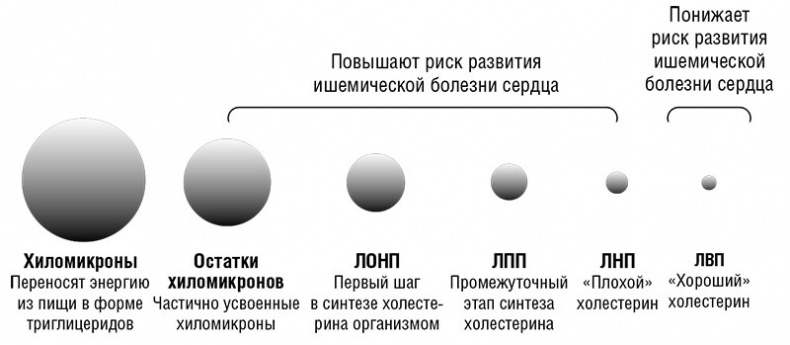 Здоровое сердце. Издание XXI века