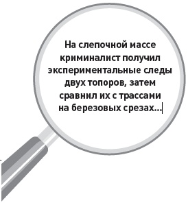 Убийство под микроскопом: записки судмедэксперта