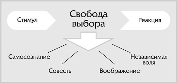 7 навыков высокоэффективных семей