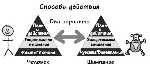 Парадокс Шимпанзе. Менеджмент мозга