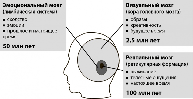 Мастерство жизни. Внутренняя динамика развития