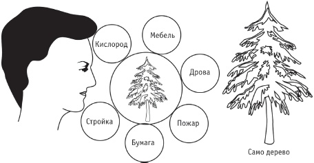 Сила стихий в твоих руках. От человека до эгрегора