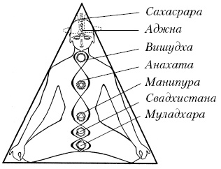 Теория и практика йоги