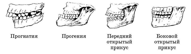 Возрастная анатомия и физиология. Основы профилактики и коррекции нарушений в развитии детей