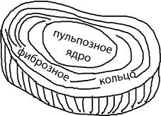 Большая книга упражнений для спины. Комплекс "Умный позвоночник"