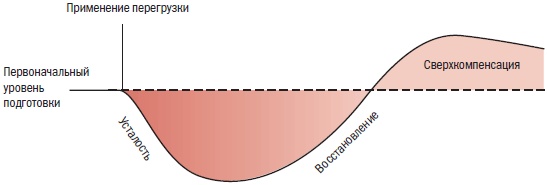 Библия велосипедиста