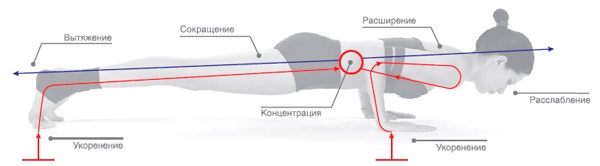 Энергетика йоги. Практический курс