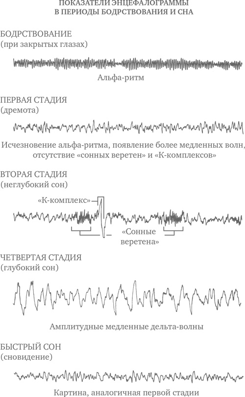 Сон ребенка. Решение всех проблем