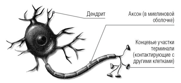 Сила мысли. Поменяйте ход своих мыслей, измените свою жизнь