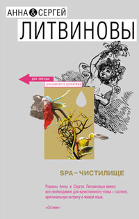 SPA-чистилище - Анна и Сергей Литвиновы