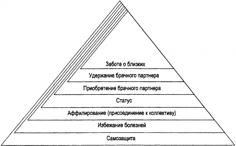 Рациональное животное. Как эволюция повлияла на развитие мозга