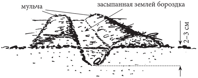 Самая полезная настольная книга садовода и огородника