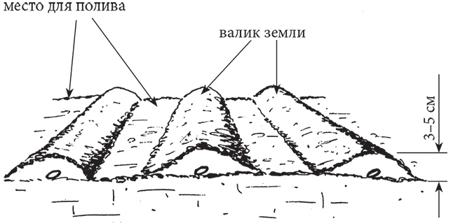 Самая полезная настольная книга садовода и огородника