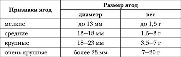 Виноград на вашей даче. Растет не только на юге!