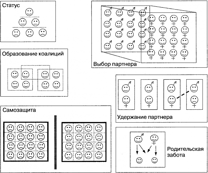 Инстинкты и смысл жизни. Почему в нас так много животного