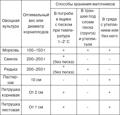 Всё о семенах овощных культур