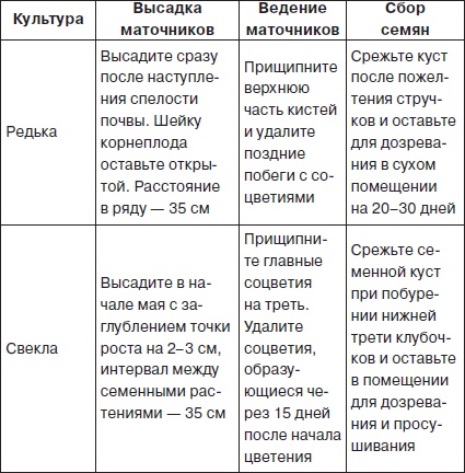 Всё о семенах овощных культур