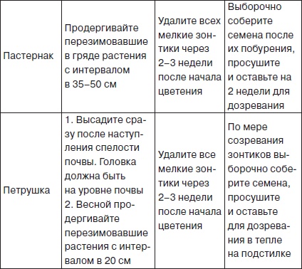 Всё о семенах овощных культур