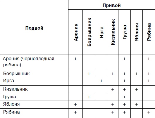 Прививка плодовых деревьев: распространенные ошибки и секреты успешной прививки