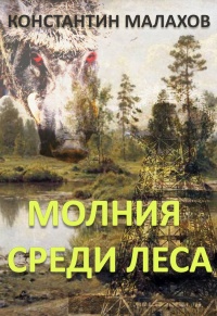 Молния среди леса - Константин Малахов