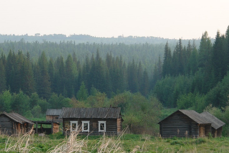 Молния среди леса