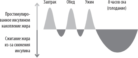 Тоньше, Суше, Сильнее. Простая наука о построении женского тела