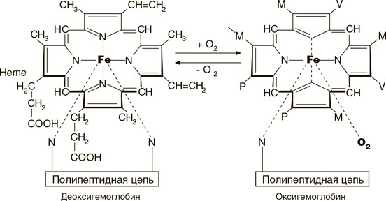 На грани возможного. Наука выживания