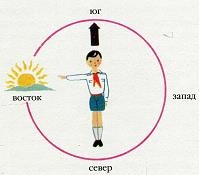 Последний окножираф