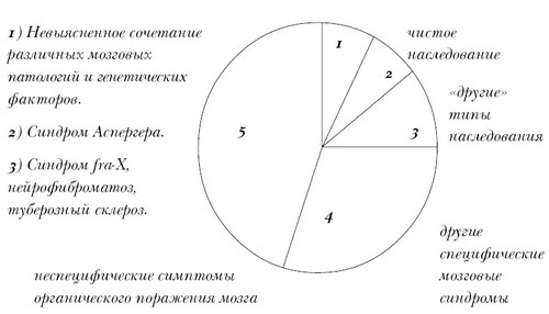 Введение в психологическую теорию аутизма