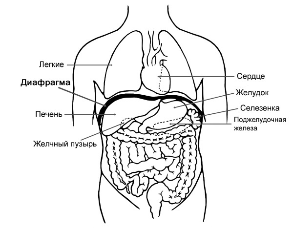 Парадоксальное дыхание для начинающих