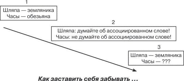 Удивительные истории о мозге, или рекорды памяти коноплянки