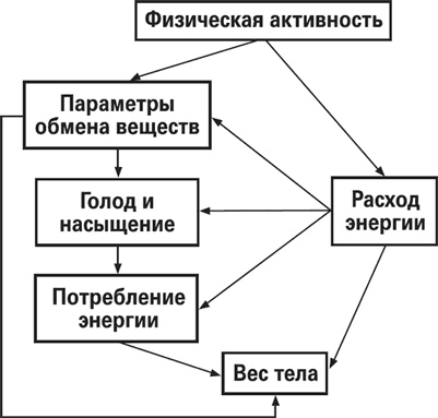 Мой лучший друг - желудок. Еда для умных людей