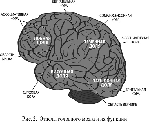 Воспитание без шаблонов. Научитесь слышать своего ребенка