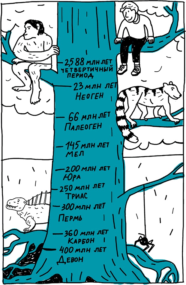 От динозавра до компота. Ученые отвечают на 100 (и еще 8) вопросов обо всем