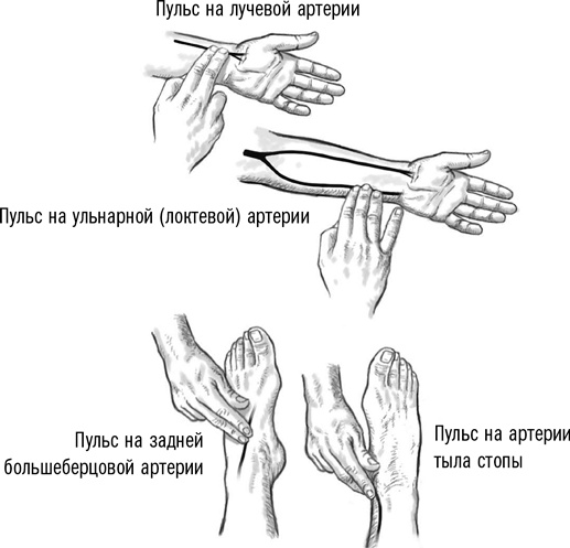 Первая помощь своими руками. Если скорая не спешит