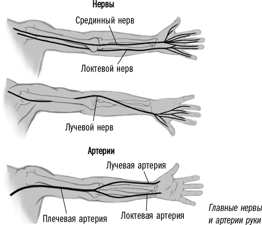 Первая помощь своими руками. Если скорая не спешит