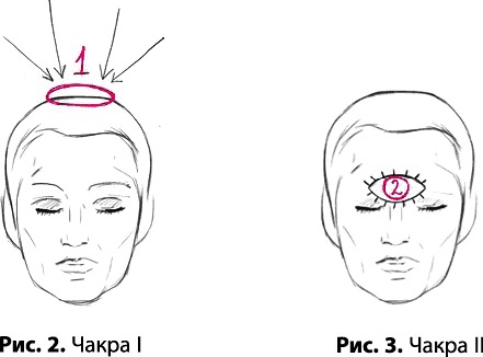 Тайное знание не для всех. Секреты целителя