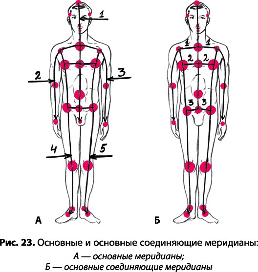 Тайное знание не для всех. Секреты целителя