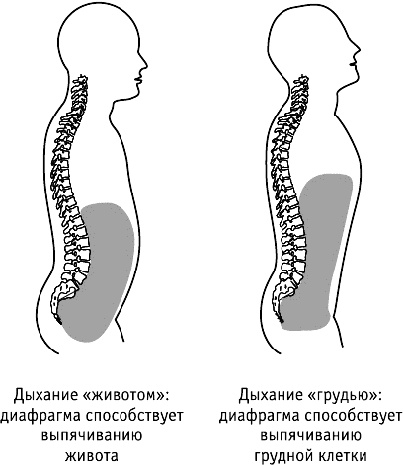 Фрукторианство. Новый взгляд на эволюцию питания человека