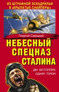 Небесный спецназ Сталина. Из штрафной эскадрильи в «крылатые снайперы» - Георгий Савицкий