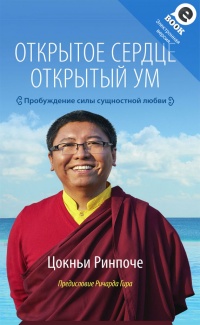 Открытое сердце. Открытый ум. Пробуждение силы сущностной любви - Цокньи Ринпоче