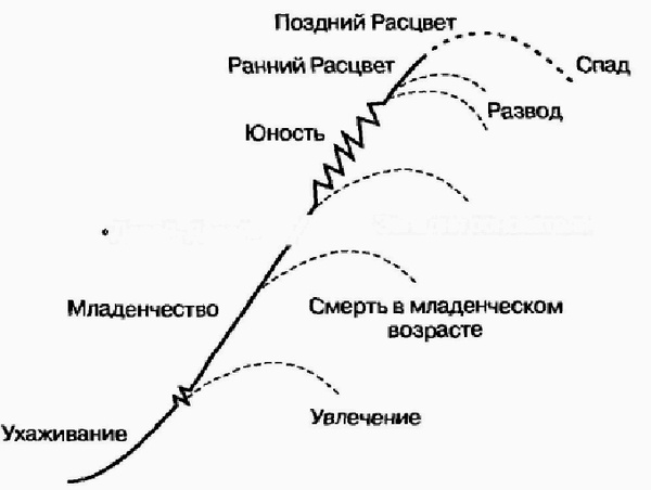 Управление жизненным циклом корпорации