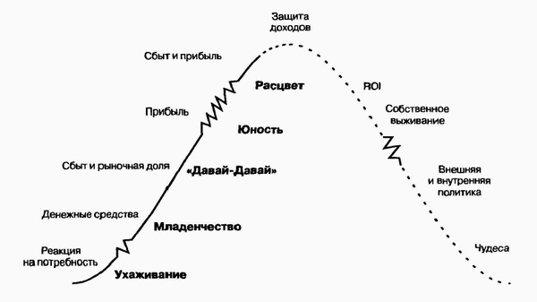 Управление жизненным циклом корпорации