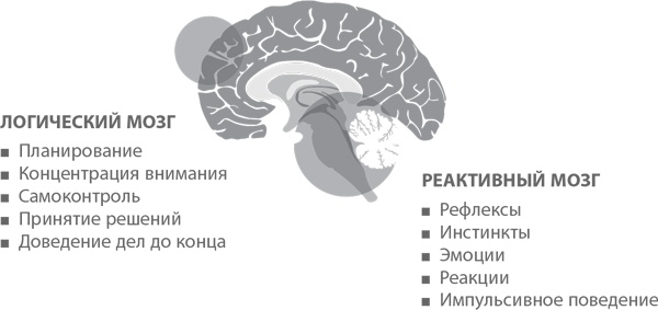 Пять правил выдающейся эффективности. Как достигать главных целей без перегрузок и выгорания