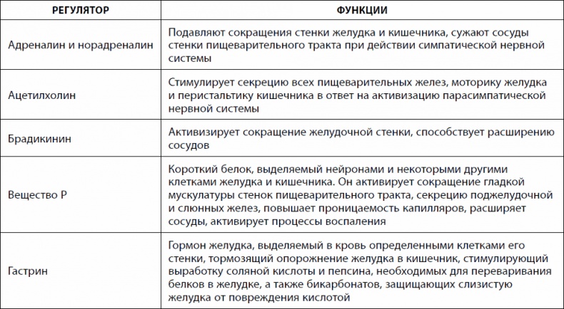 Кишечник долгожителя. 7 принципов диеты, замедляющей старение