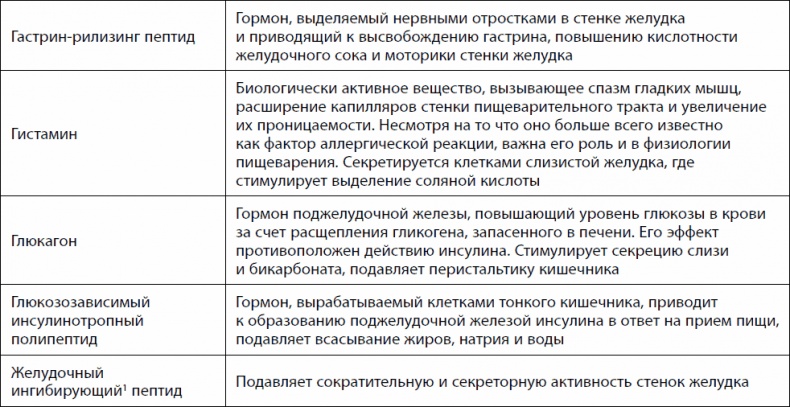 Кишечник долгожителя. 7 принципов диеты, замедляющей старение